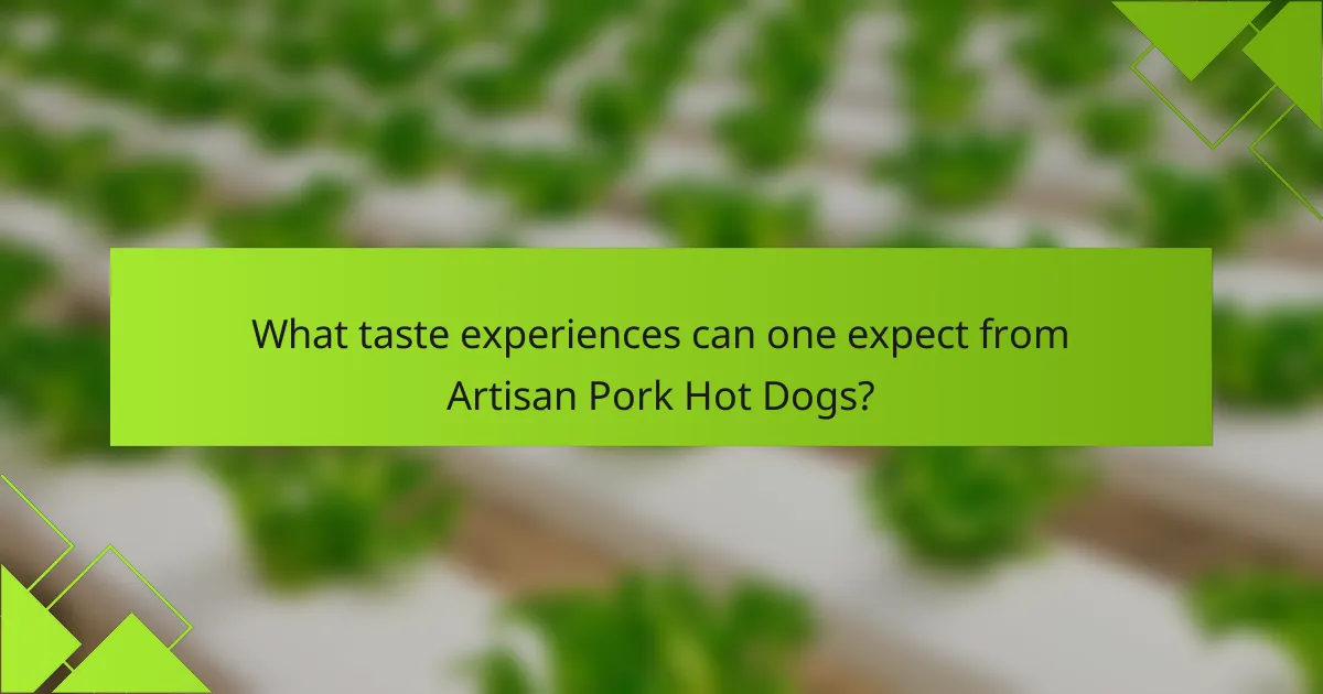 What taste experiences can one expect from Artisan Pork Hot Dogs?